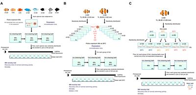 Synergistic Effects of Ocean Warming and Cyanide Poisoning in an Ornamental Tropical Reef Fish